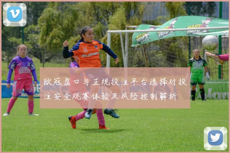 欧冠盘口与正规投注平台选择对投注安全观赛体验及风险控制解析