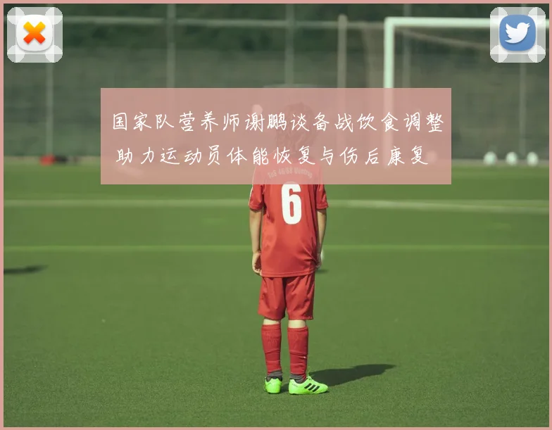 国家队营养师谢鹏谈备战饮食调整 助力运动员体能恢复与伤后康复