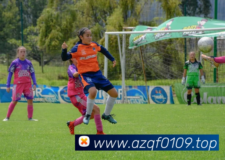 安博站官网登录入口服务体系